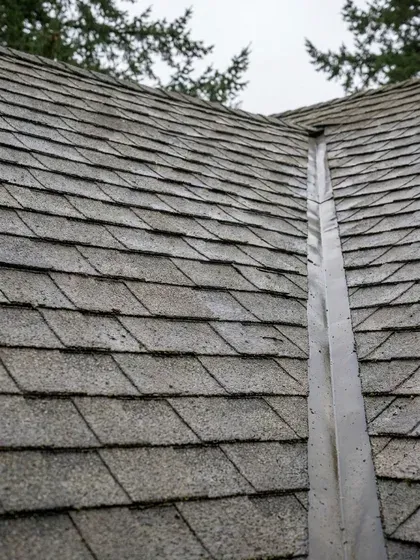 Clean moss-free roof and siding after a low-pressure soft wash
