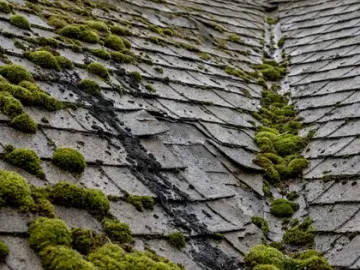 Roof moss removal, before and after